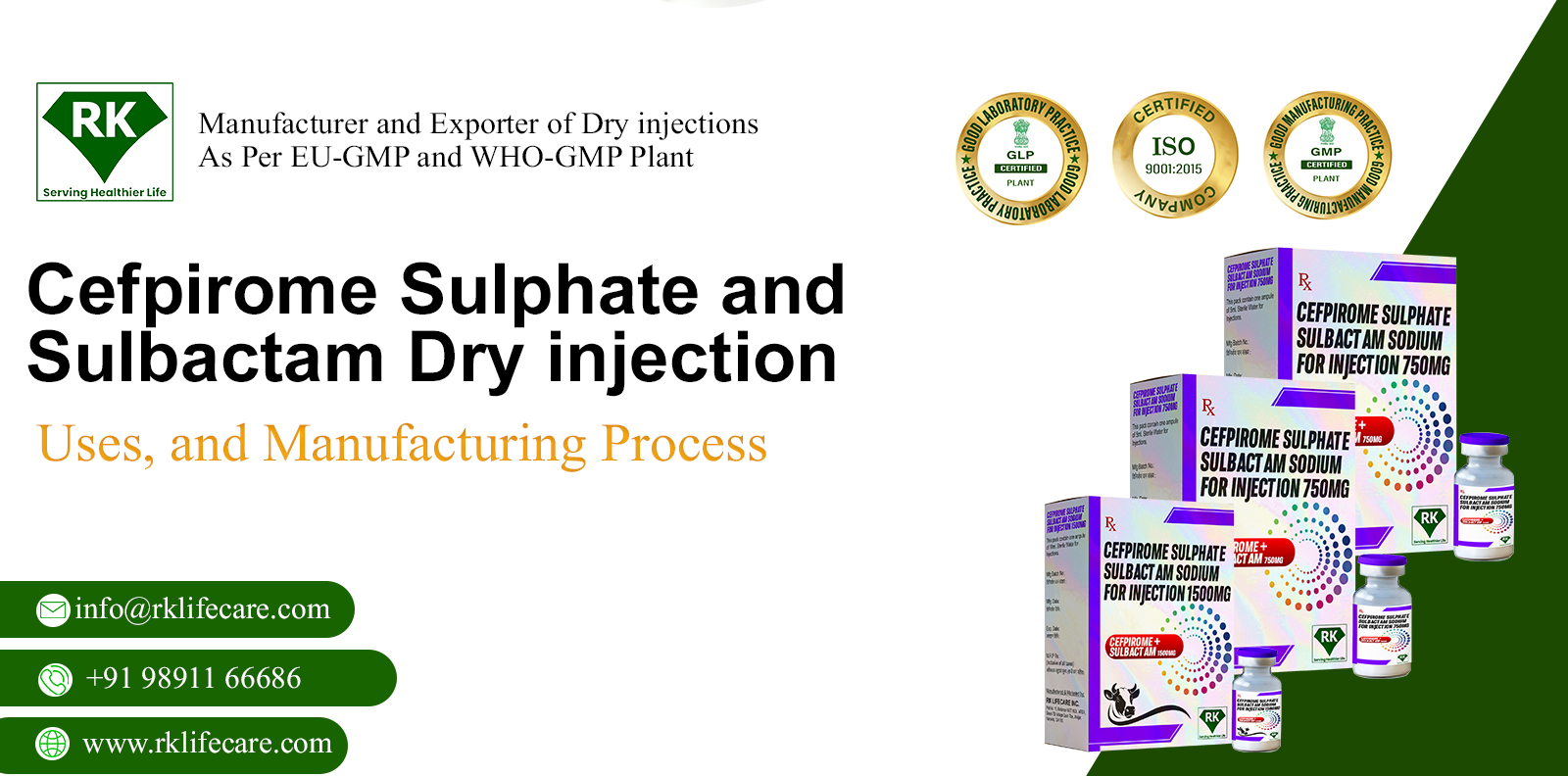 Cefpirome Sulphate and Sulbactam Dry Injection – Uses and Manufacturing Process