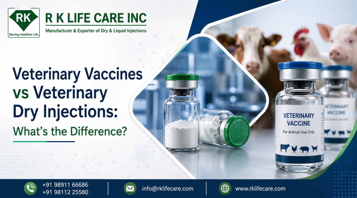 Veterinary Vaccines vs Veterinary Dry Injections: What's the Difference?