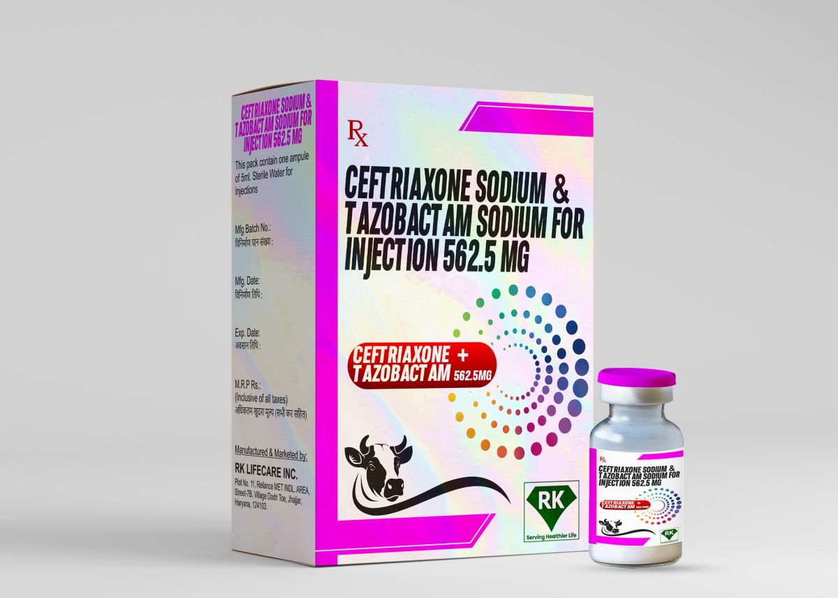 Ceftriaxone Sodium and Tazobactam Sodium for Injection 562.5mg